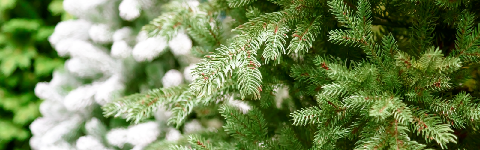 Künstliche Weihnachtsbäume