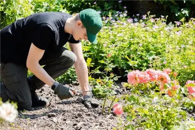 Die Grundausstattung fürs Gärtnern für Garten-Neulinge