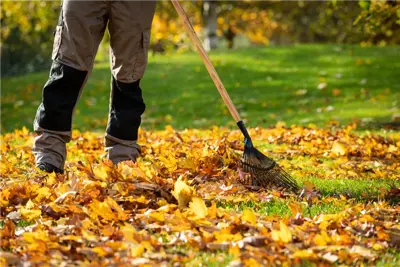 Gartenarbeit im Herbst – Das ist jetzt wichtig