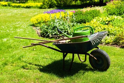 Rasenpflege im Sommer: Tipps gegen Trockenheit und braune Stellen
